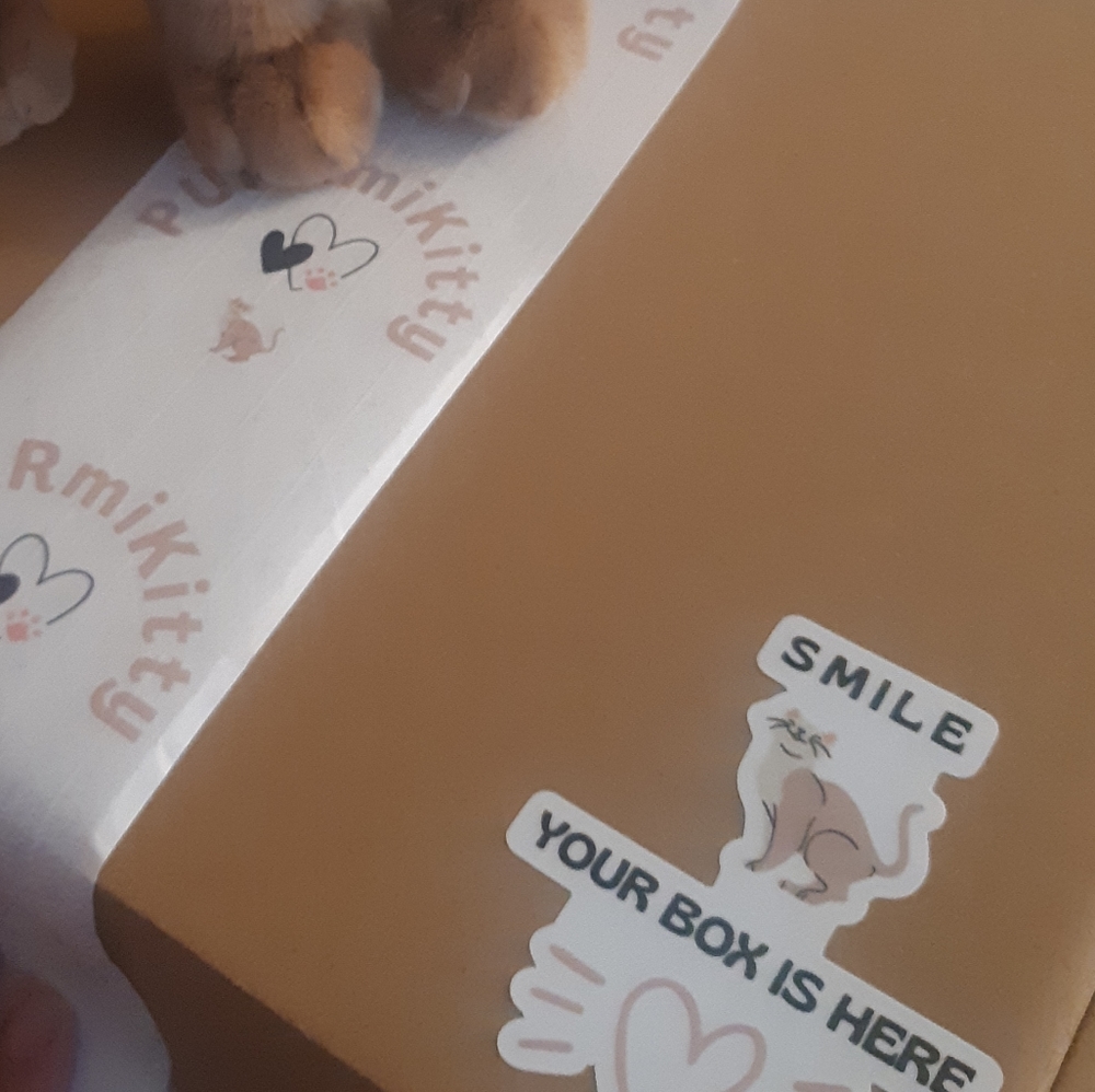 Cat Mom Accessories Box for Her Cat themed Treats and Toys for Kitty Cats - Picture 3 of 12